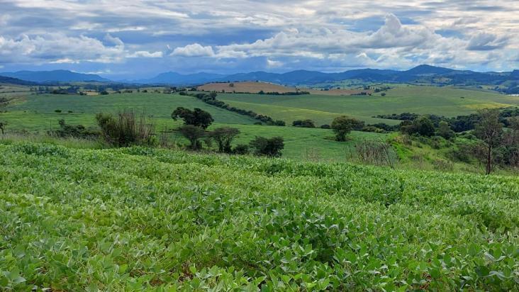 Fazenda, Zona Rural, 3 Quartos, 0 Vaga