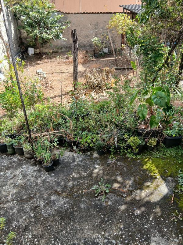 Lote, Riacho das Pedras, 0 Quarto, 0 Vaga