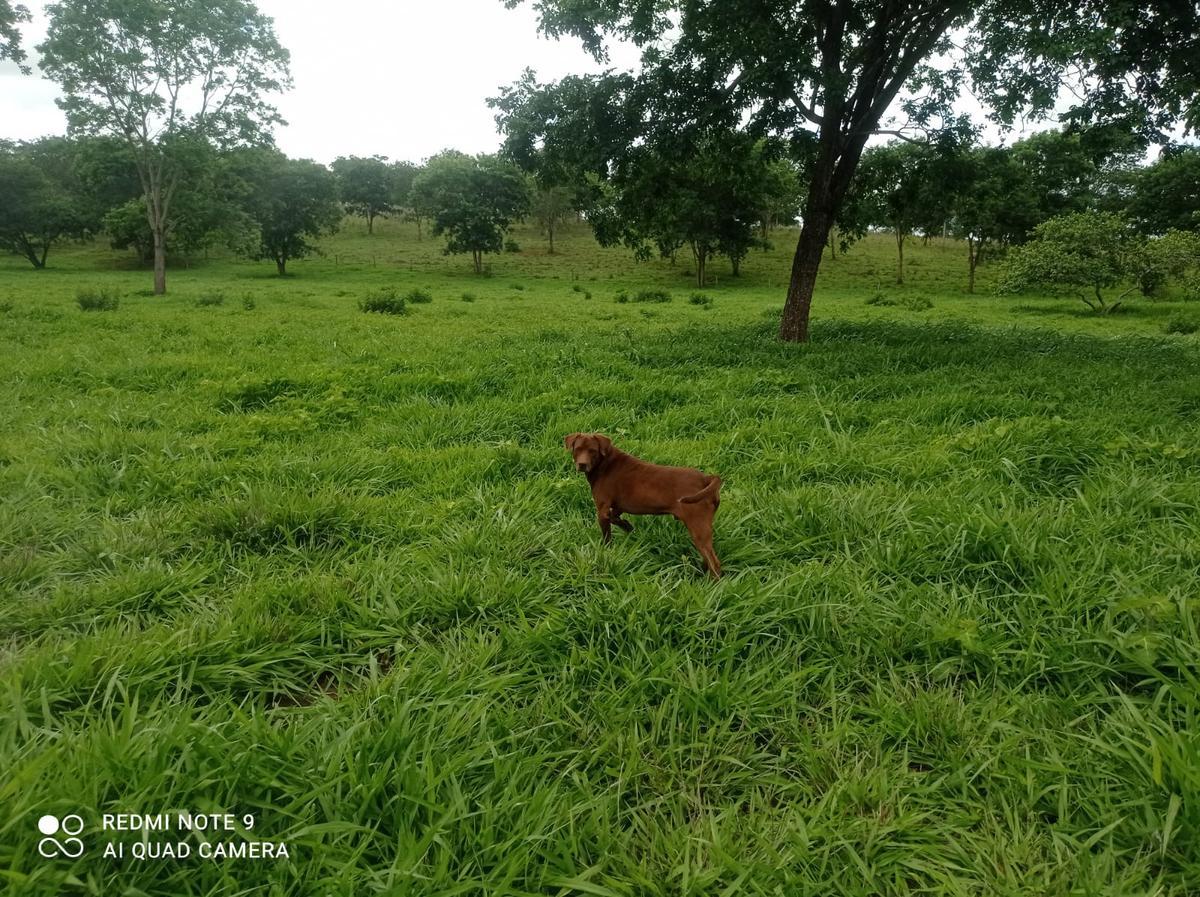 Fazenda, Água Quente