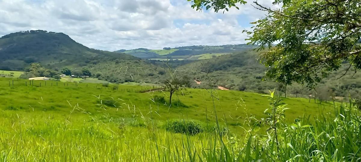 Fazenda, Centro, 5 Quartos, 2 Vagas