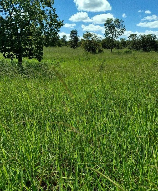 Fazenda, Zona Rural, 0 Quarto, 0 Vaga