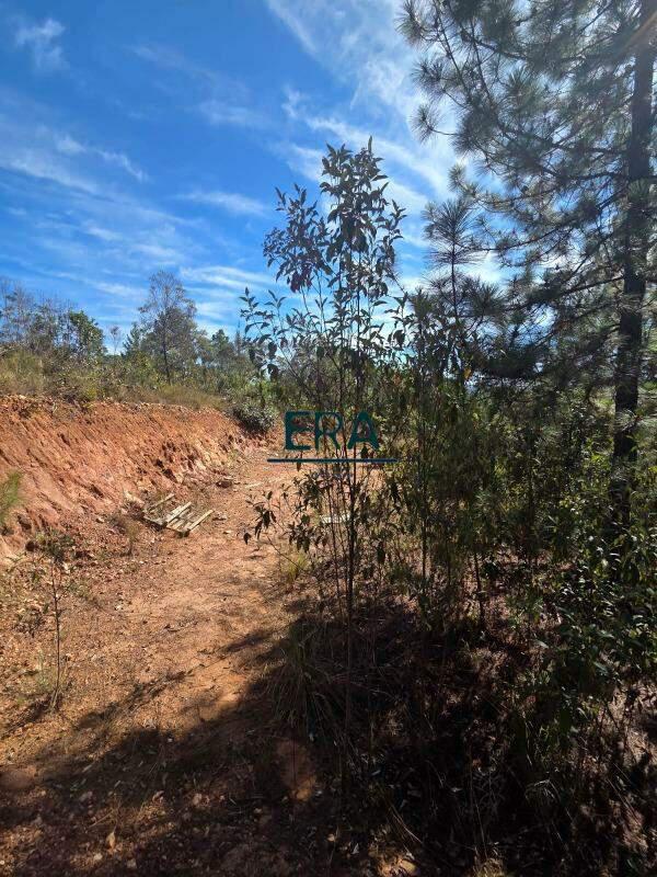 Lote, Village Sans Souci, 0 Quarto, 0 Vaga