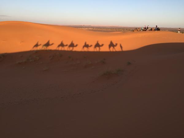 Tour Privado Pelo Marrocos