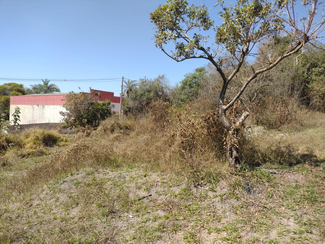 Lote, Chácara São Geraldo, 0 Quarto, 0 Vaga