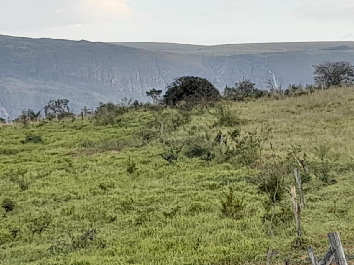 Fazenda, Zona Rural, 0 Quarto, 0 Vaga