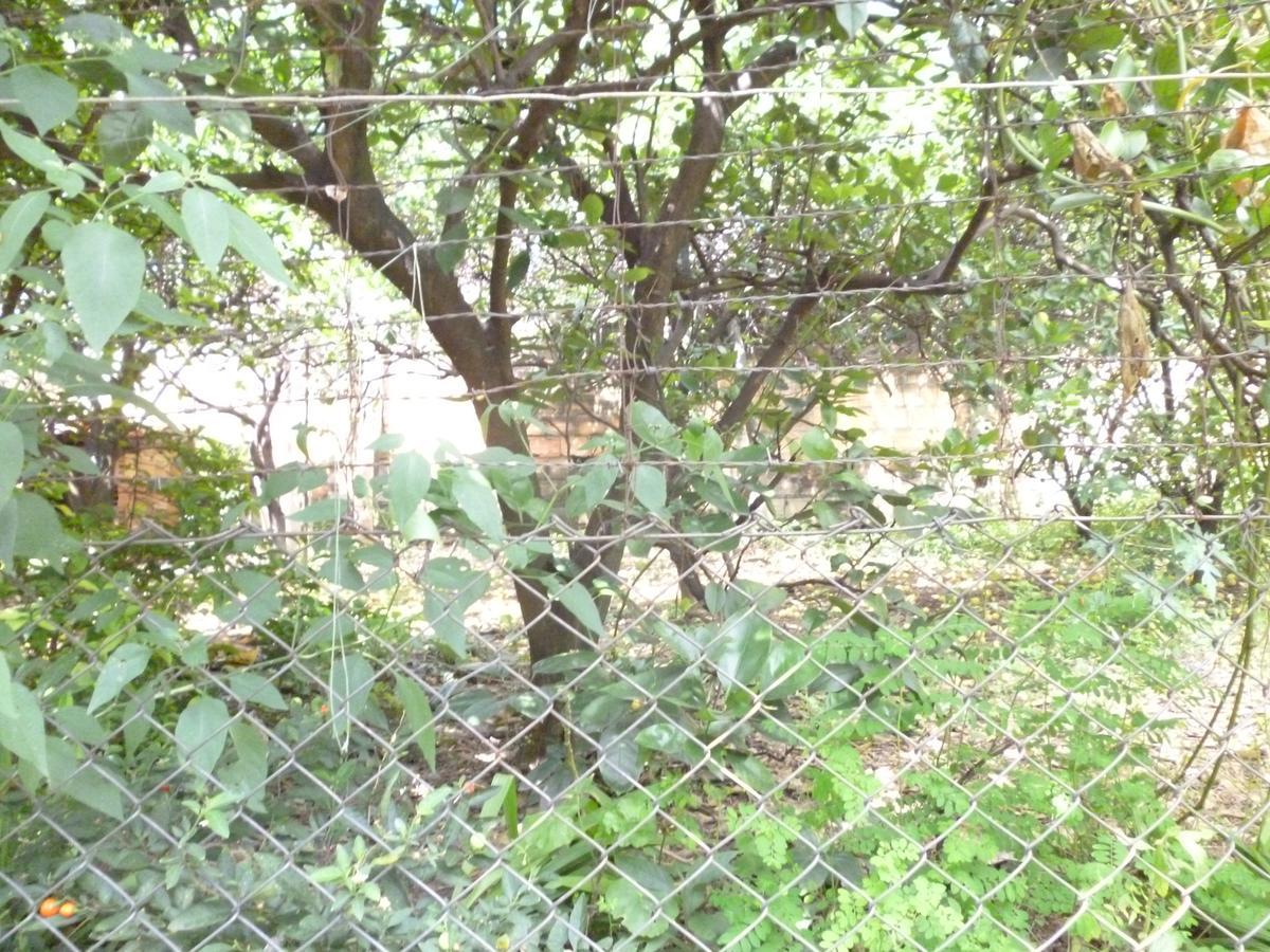 Casa, Camargos, 3 Quartos, 1 Vaga