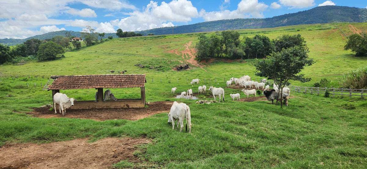 Fazenda, Zona Rural, 3 Quartos, 1 Vaga