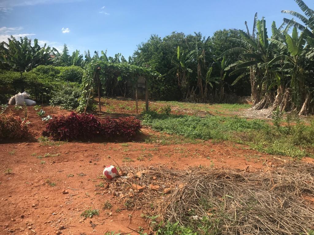 Lote, Centro, 0 Quarto, 0 Vaga