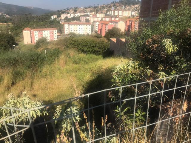 Lote, Jardim Vitória, 0 Quarto, 0 Vaga