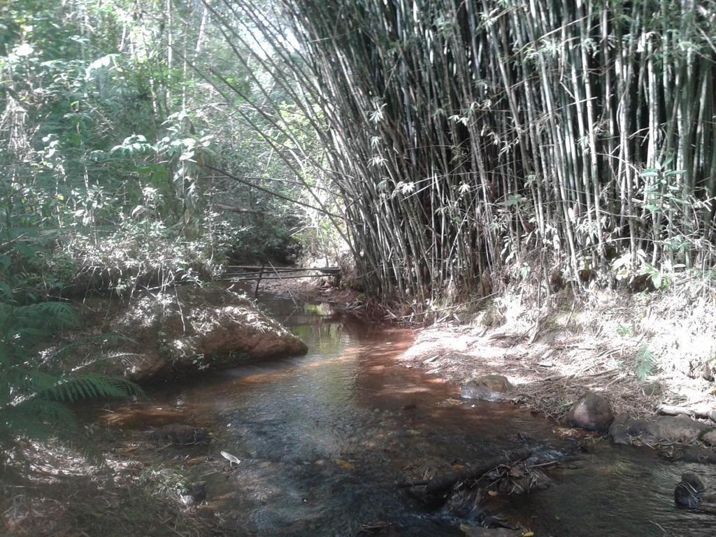 Fazenda, Centro, 3 Quartos, 10 Vagas, 1 Suíte