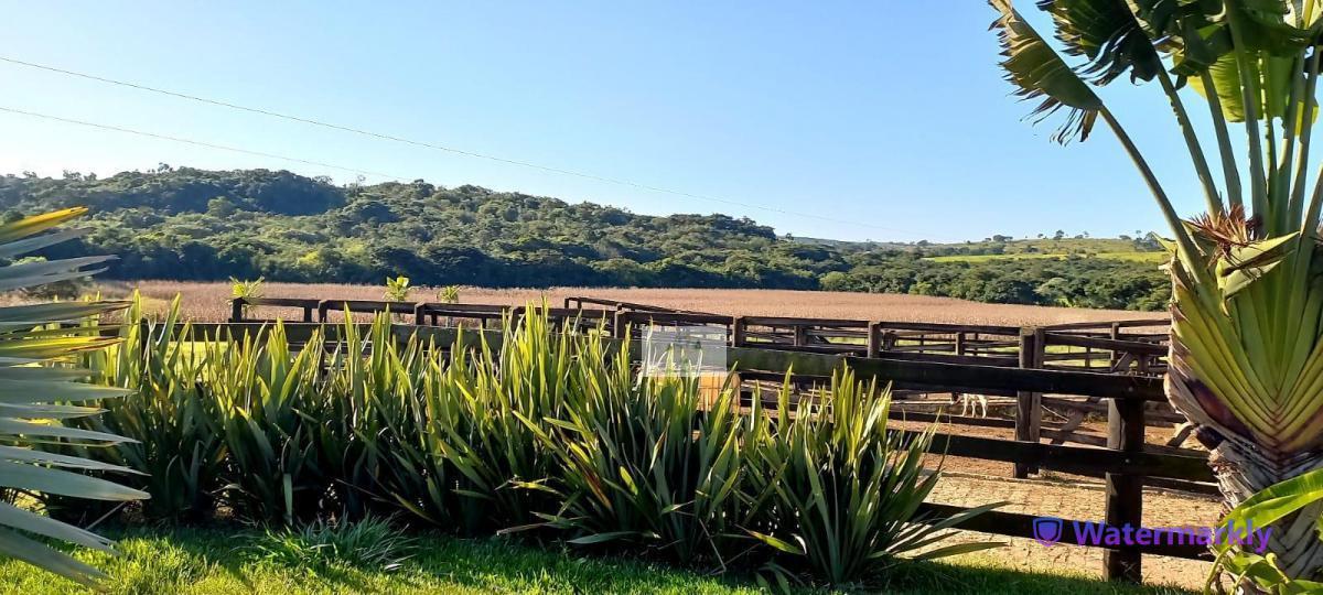 Fazenda, Centro, 5 Quartos, 2 Vagas