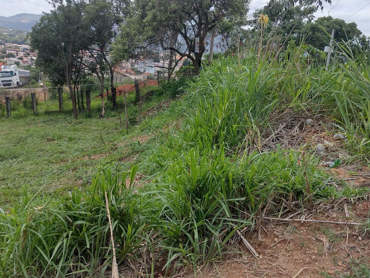 Lote, Panorama Industrial, 0 Quarto, 0 Vaga