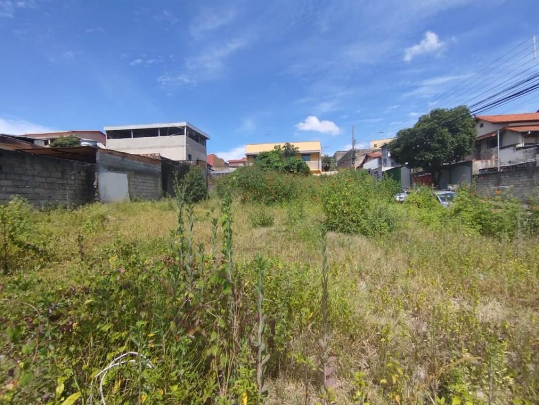 Lote, Flamengo, 0 Quarto, 0 Vaga