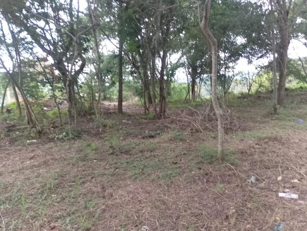 Lote, Vale Verde, 0 Quarto, 0 Vaga