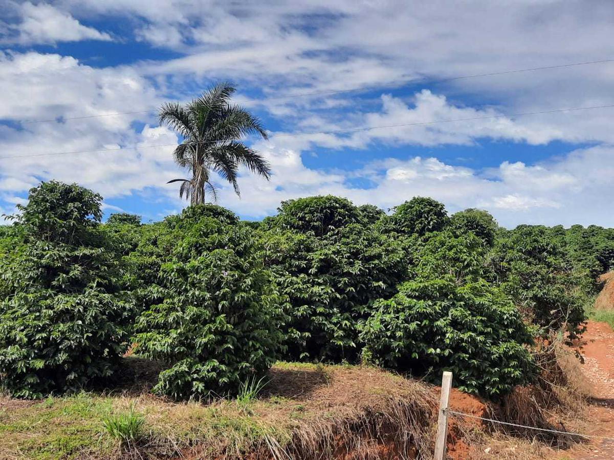 Fazenda, Zona Rural, 4 Quartos, 0 Vaga, 1 Suíte
