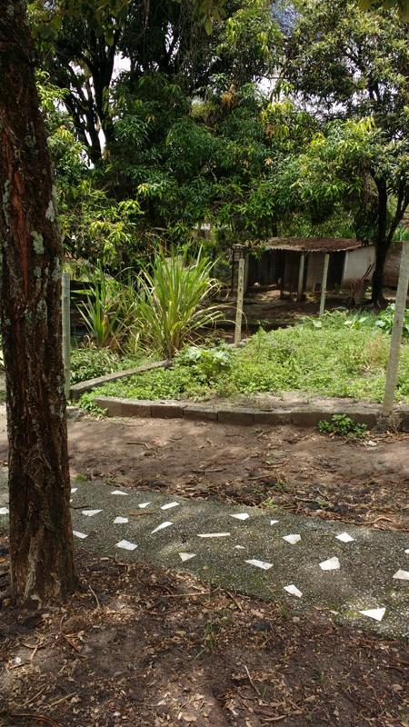 Fazenda, Melo Viana, 6 Quartos, 10 Vagas, 1 Suíte