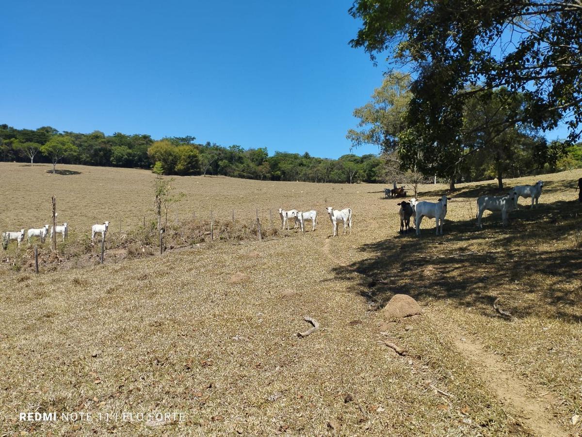 Fazenda, Centro, 4 Quartos, 10 Vagas, 4 Suítes