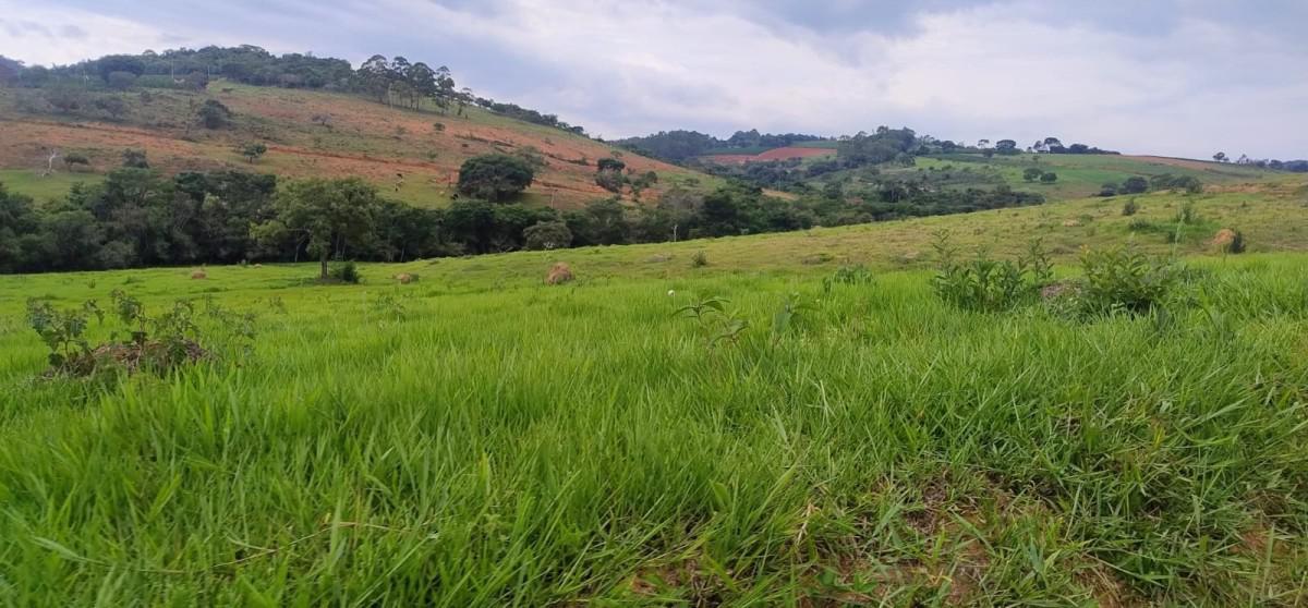 Fazenda, Zona Rural, 0 Quarto, 0 Vaga