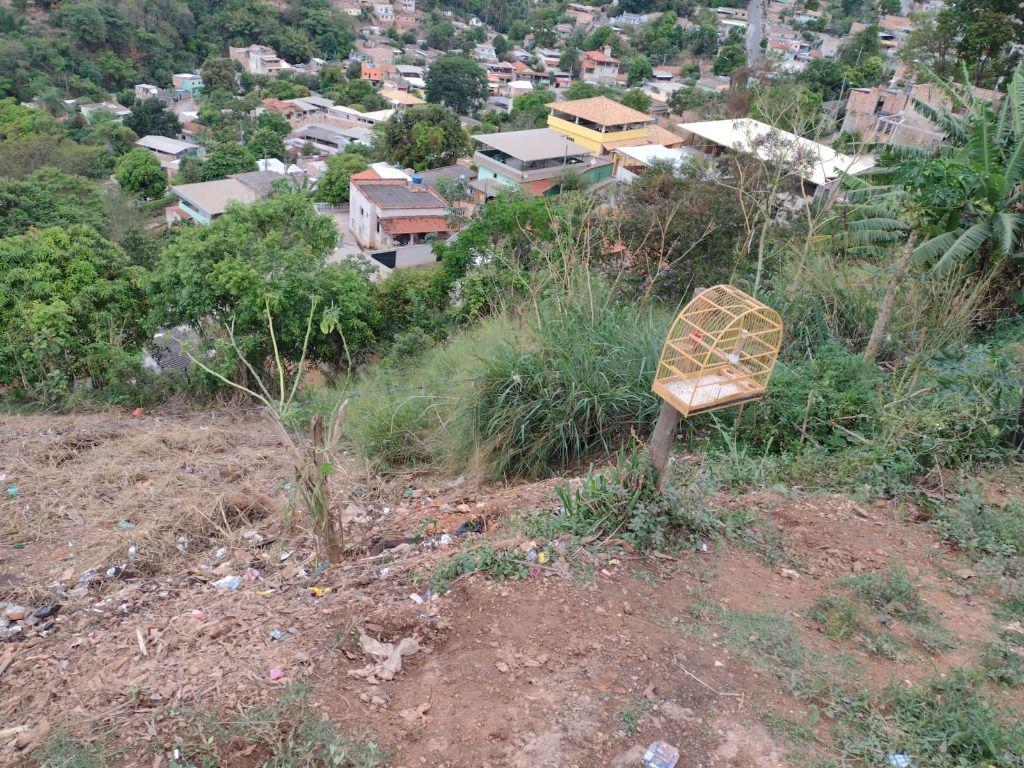 Lote, Santana, 0 Quarto, 0 Vaga