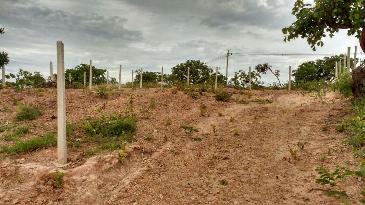 Lote, Palmeiras, 0 Quarto, 20 Vagas