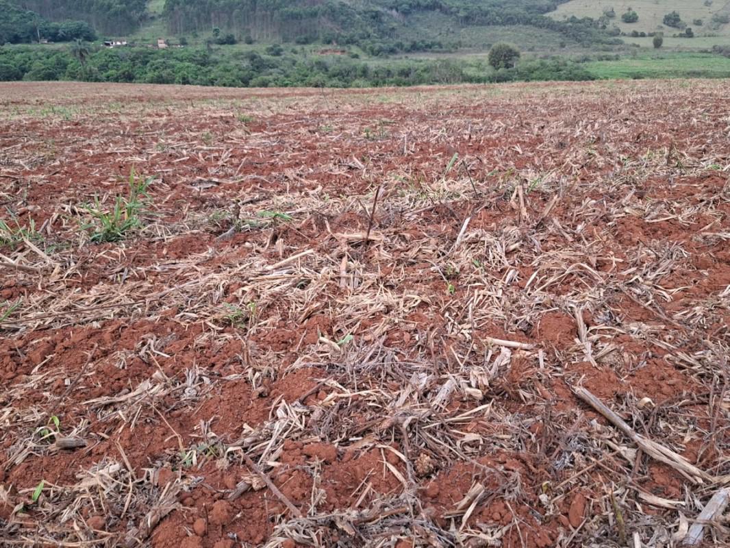 Fazenda, Zona Rural, 0 Quarto, 0 Vaga