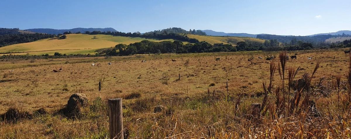 Fazenda, Zona Rural, 6 Quartos, 0 Vaga, 2 Suítes