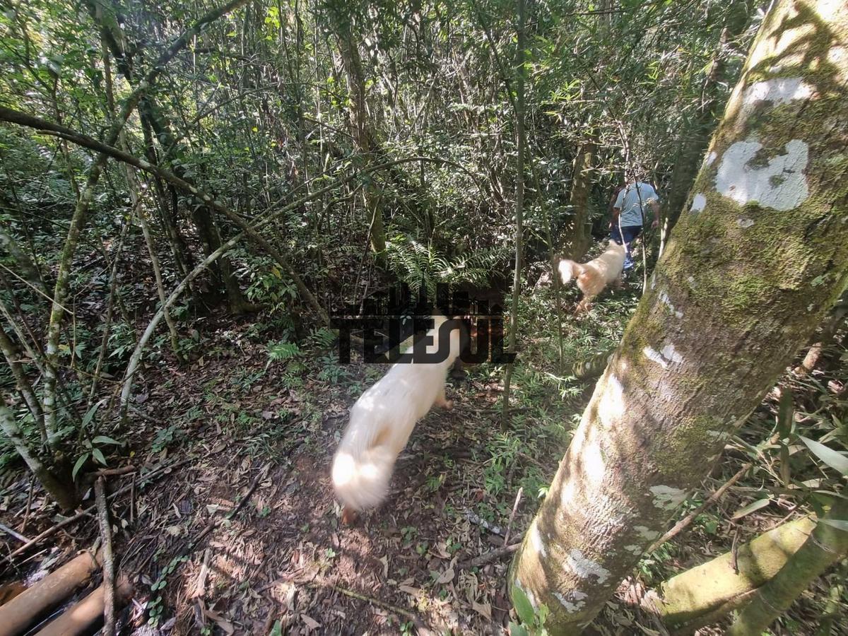 Fazenda, Zona Rural, 0 Quarto, 0 Vaga