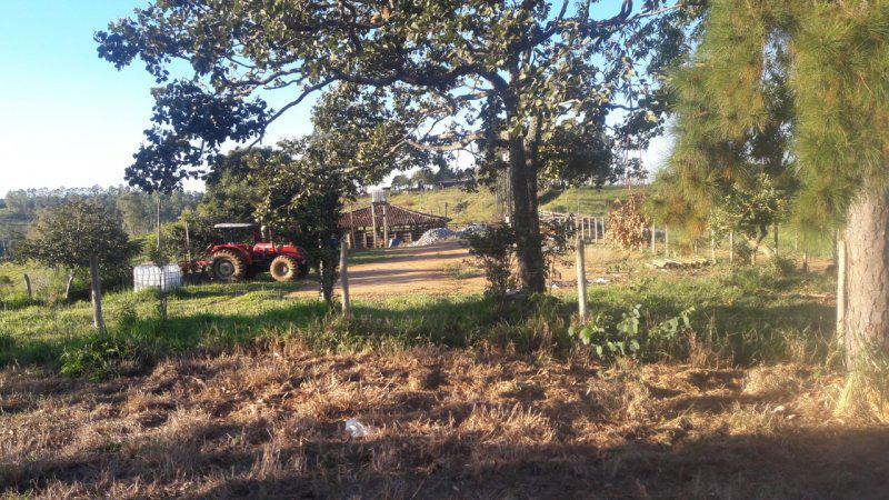 Fazenda, Centro, 0 Quarto, 0 Vaga