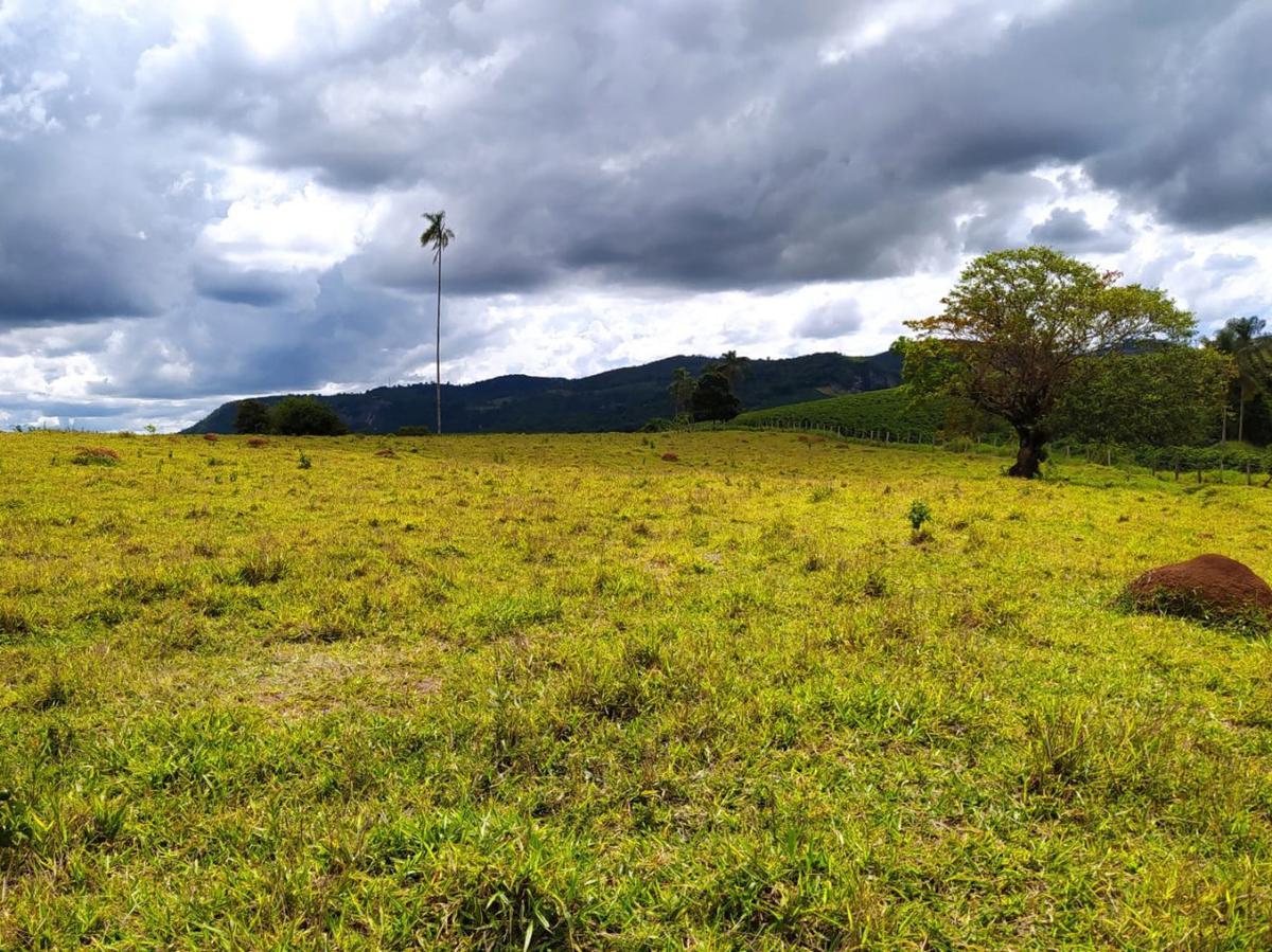 Fazenda, Centro, 1 Quarto, 1 Vaga