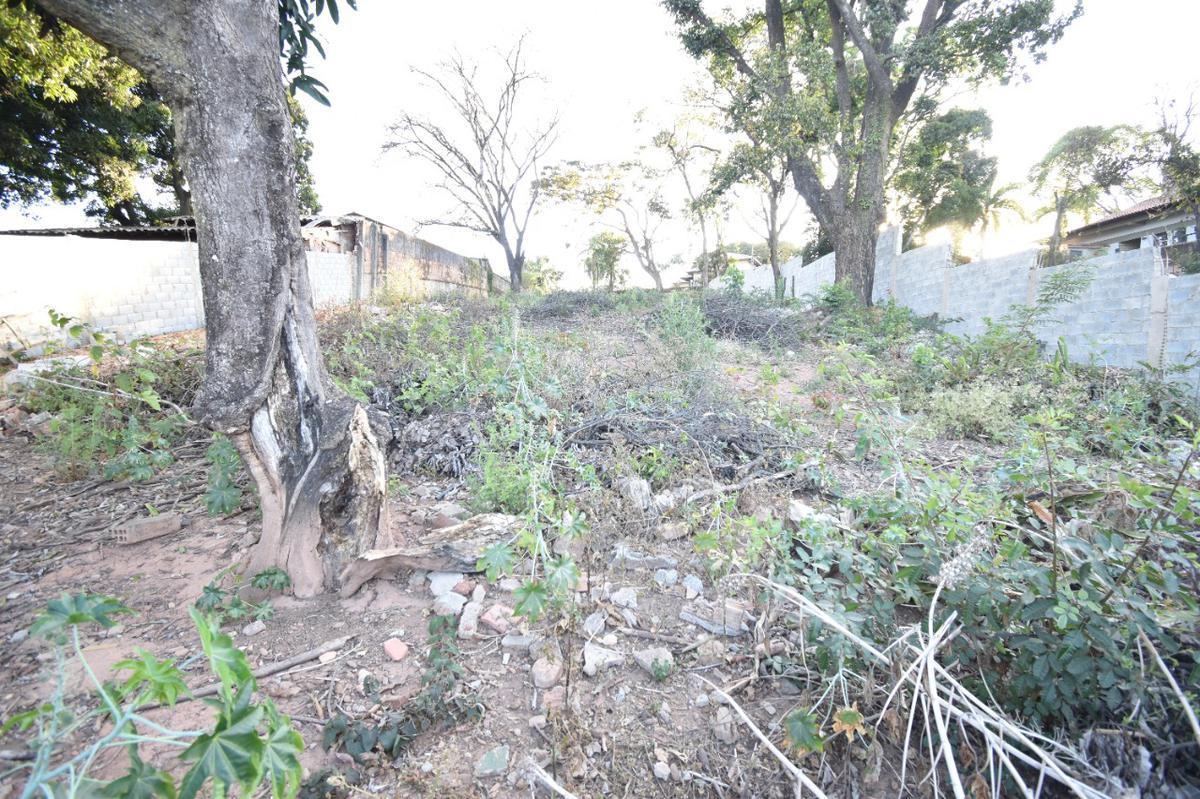 Lote, Jardim Atlântico, 0 Quarto, 8 Vagas
