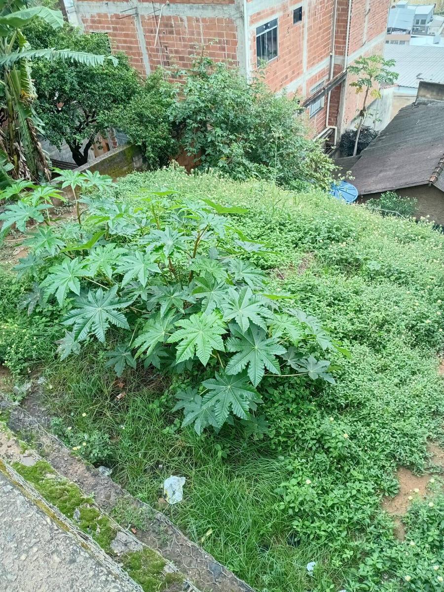 Casa, Nossa Senhora do Carmo, 2 Quartos, 0 Vaga