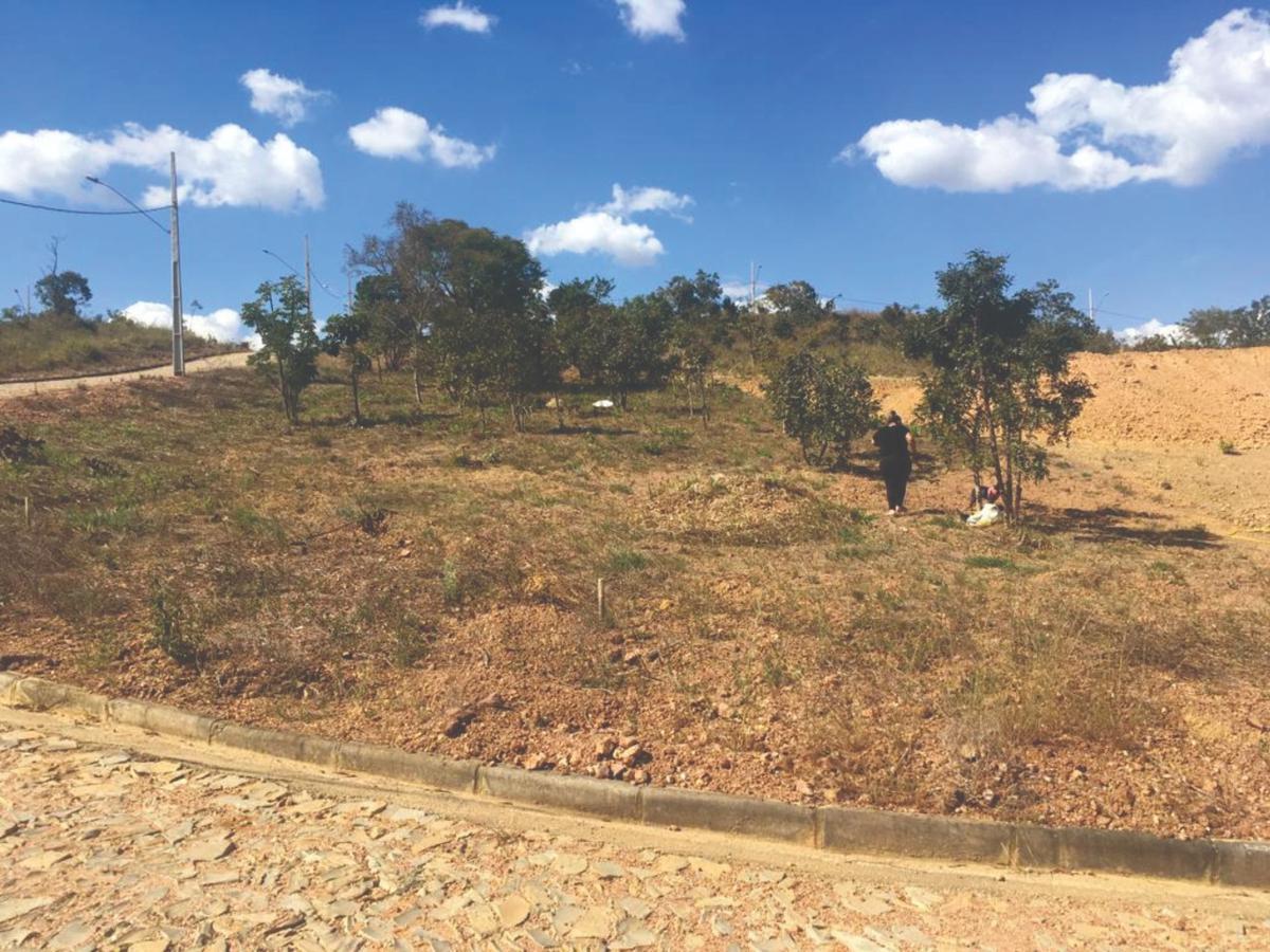 Lote, Centro, 0 Quarto, 0 Vaga
