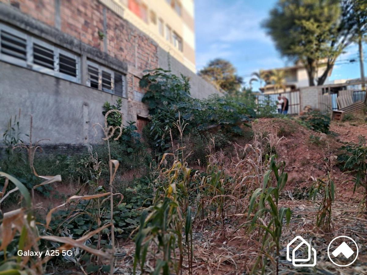 Lote, Carlos Prates