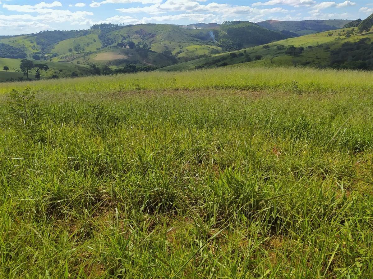 Fazenda, Centro, 2 Quartos, 1 Vaga, 1 Suíte