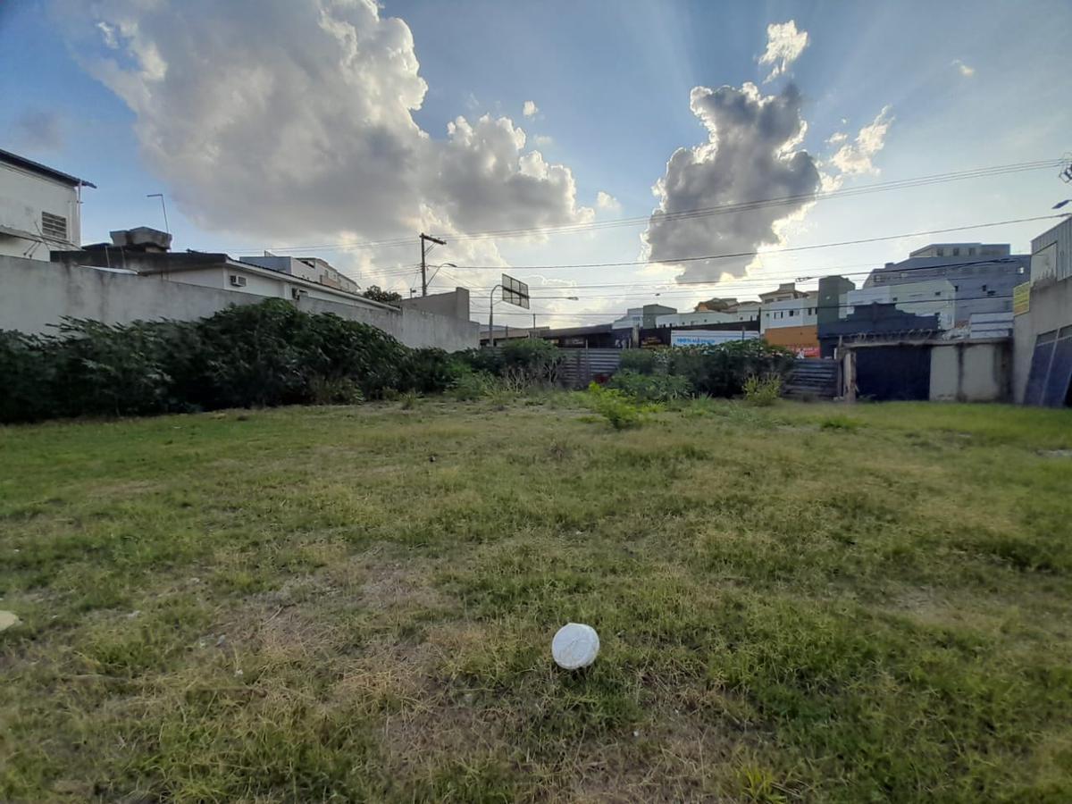 Lote, Floresta, 0 Quarto, 0 Vaga