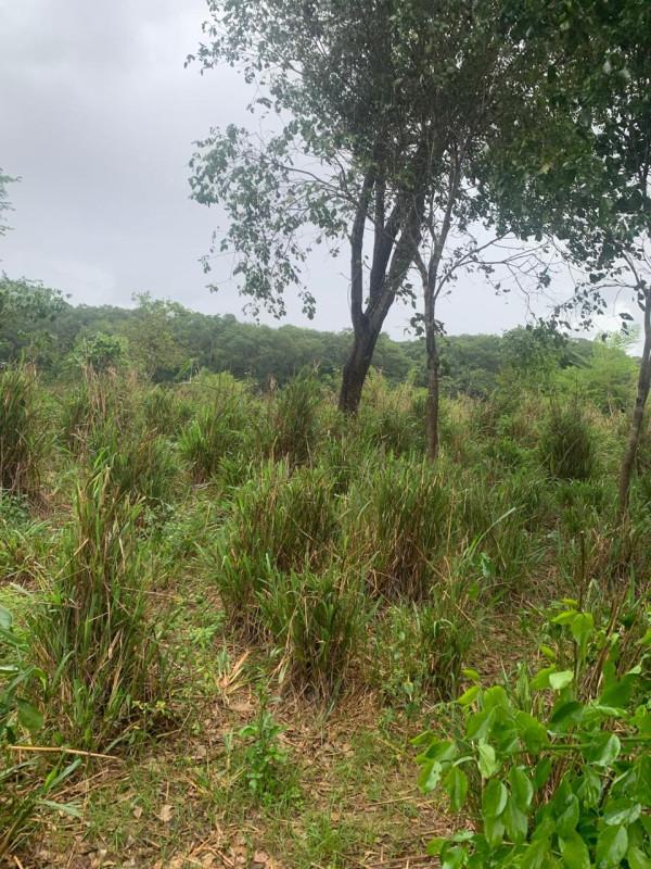 Fazenda, Zona Rural, 0 Quarto, 0 Vaga
