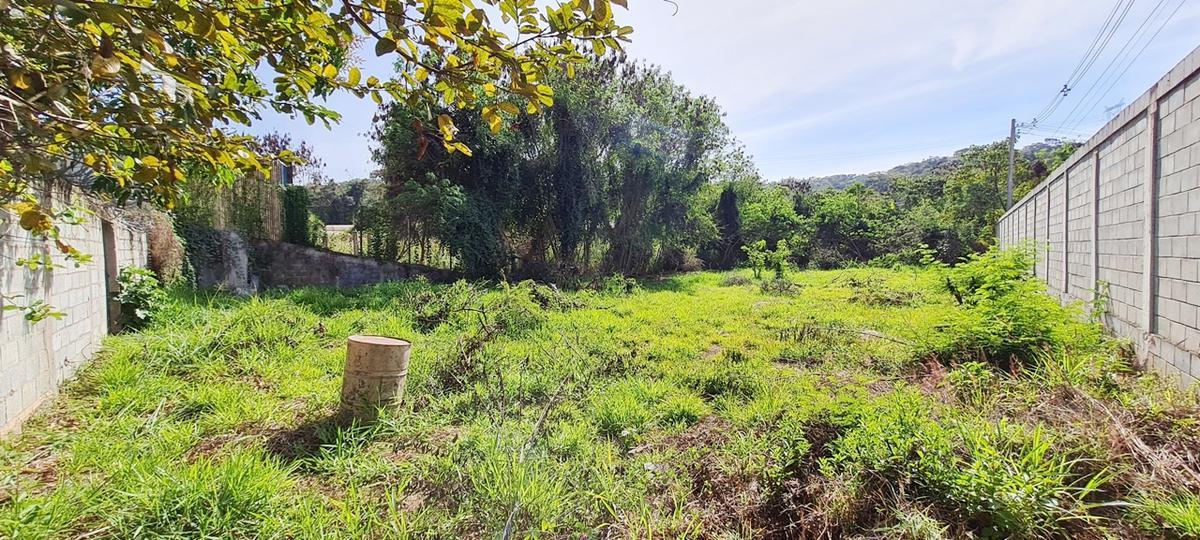 Lote, Jardim da Glória, 0 Quarto, 10 Vagas