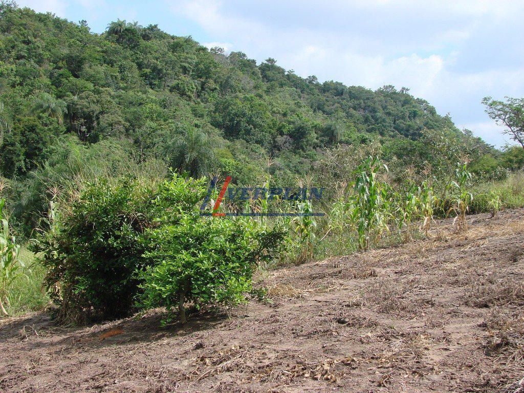 Rural, Vianópolis, 3 Quartos, 6 Vagas