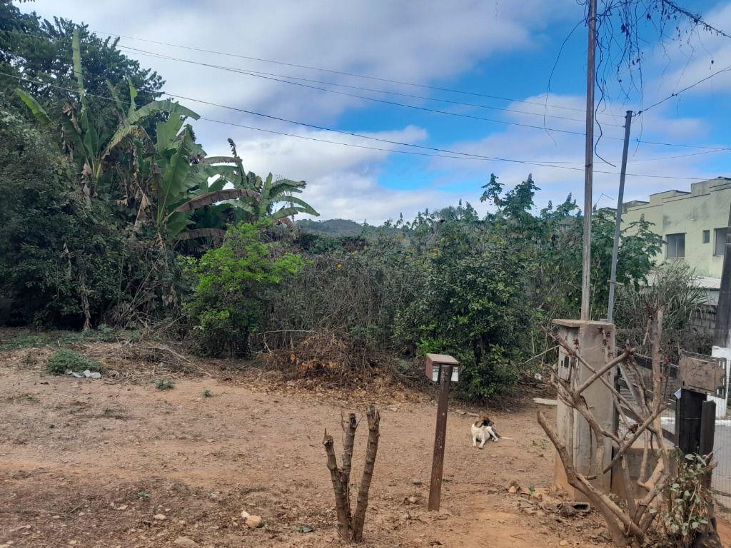 Lote, Paciência, 0 Quarto, 0 Vaga