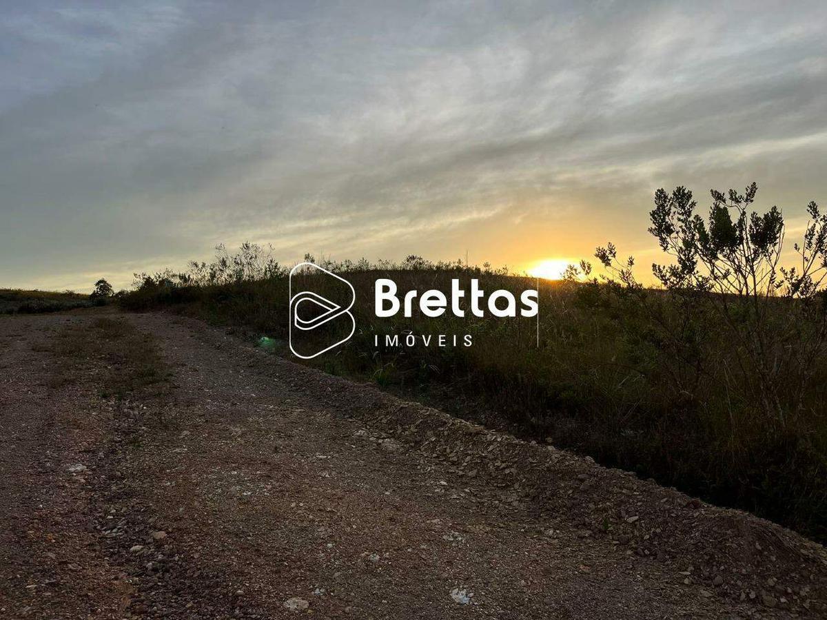 Lote, Centro, 0 Quarto, 0 Vaga