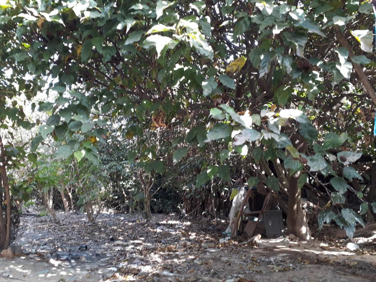 Lote, Vale das Acácias, 0 Quarto, 0 Vaga