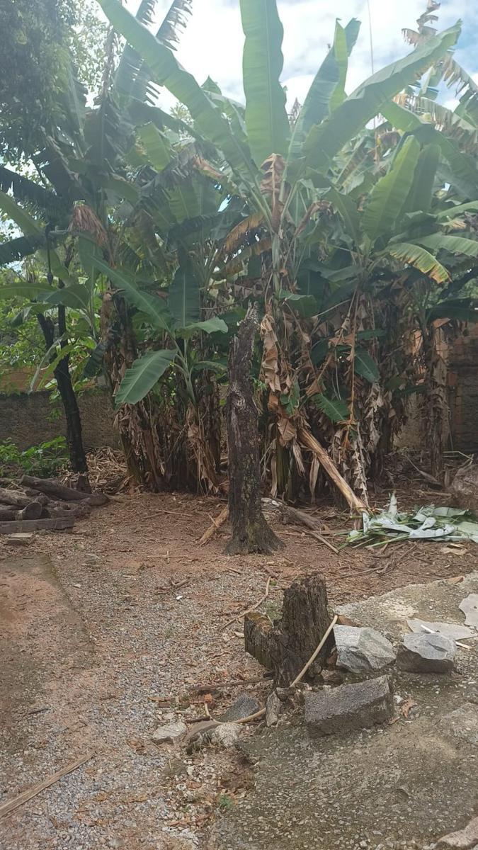 Lote, São João Batista (venda Nova), 0 Quarto, 0 Vaga