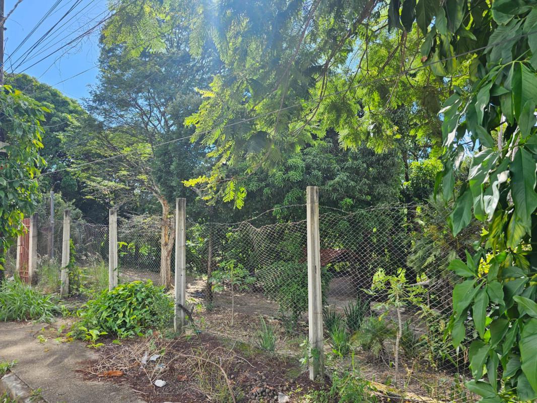 Fazenda, Chácara Cotia, 3 Quartos, 20 Vagas