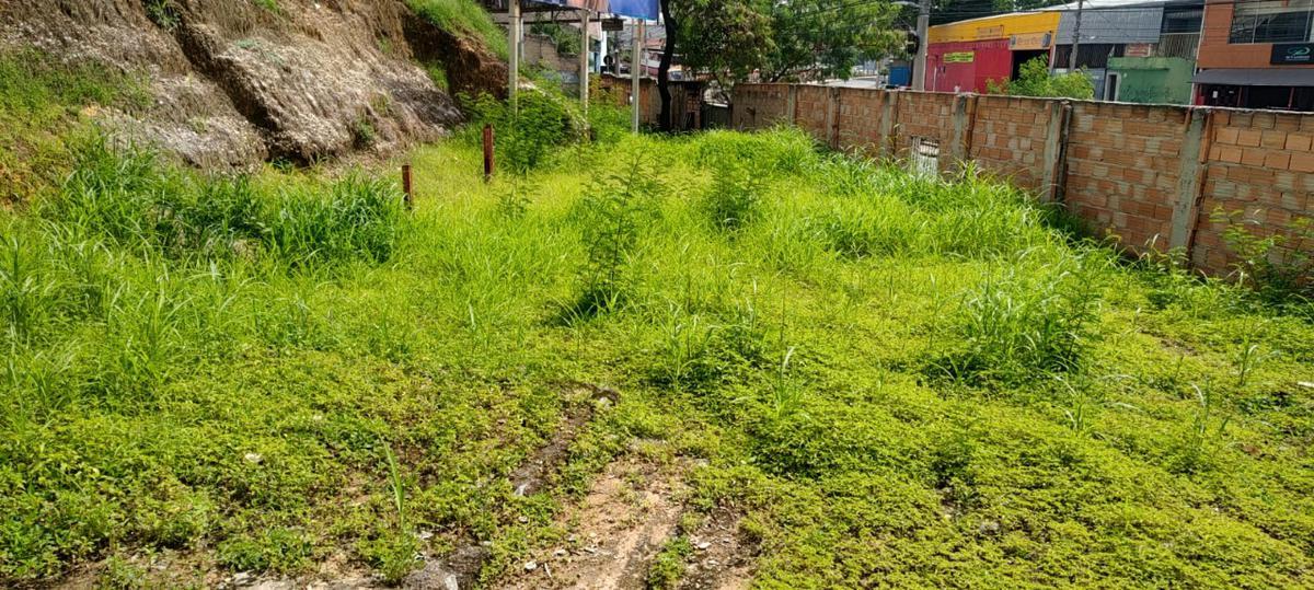 Lote, Ipiranga, 1 Quarto, 0 Vaga