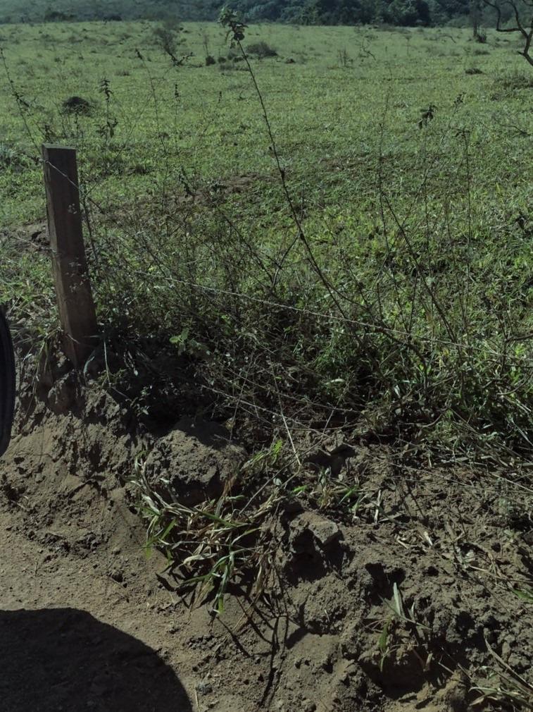 Fazenda, Centro, 1 Quarto, 0 Vaga