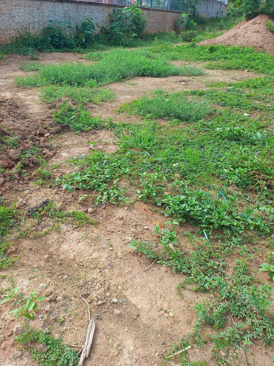 Lote, Quintas Coloniais, 0 Quarto, 0 Vaga