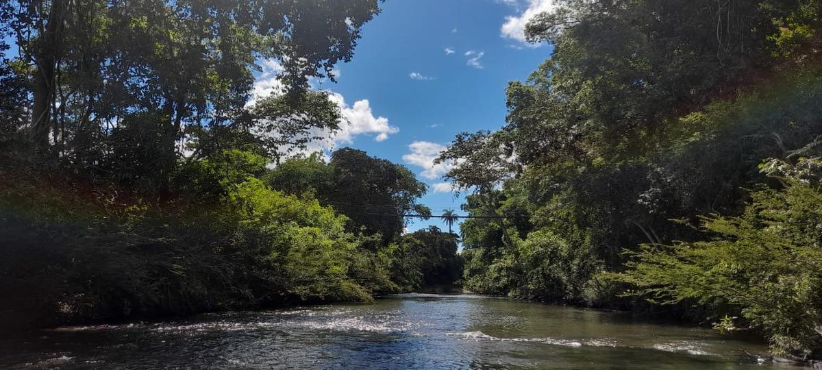 Lote, Centro, 0 Quarto, 0 Vaga