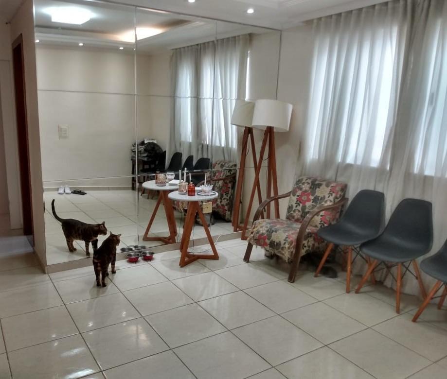 Apartamento, Rio Branco, 3 Quartos, 2 Vagas, 1 Suíte