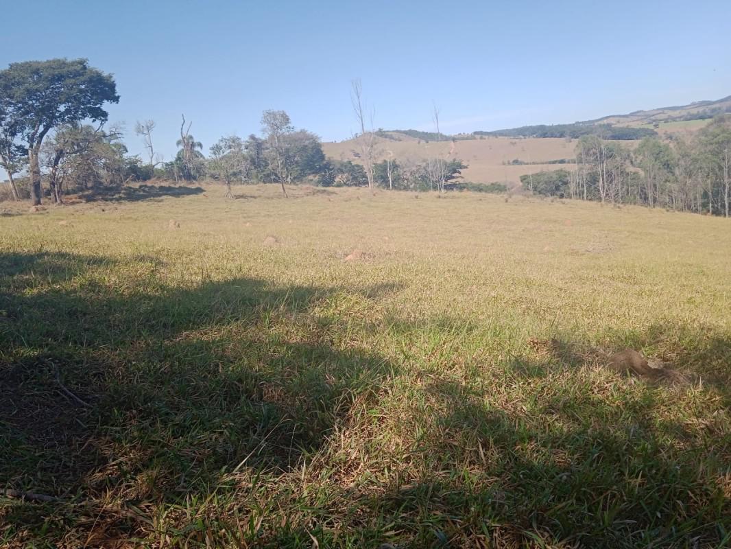 Fazenda, Centro, 0 Quarto, 0 Vaga