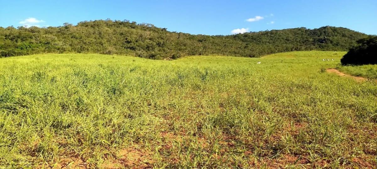 Fazenda, Centro, 0 Quarto, 0 Vaga